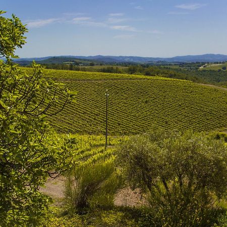 Fattoria Di Magliano Winery Villa Magliano in Toscana Room photo