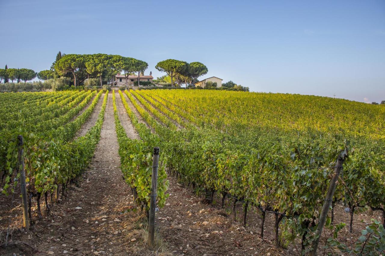 Fattoria Di Magliano Winery Villa Magliano in Toscana Exterior photo